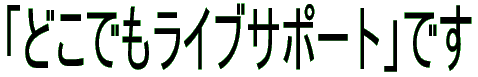 uǂłCuT|[gvł